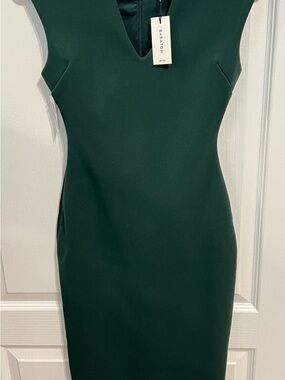 Babaton NWT Scarabee Dark Green/Scarab V-Neck Sheath Dress